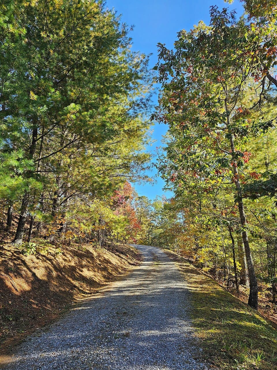 Drive way to the cabin. Easy drive off main road.
