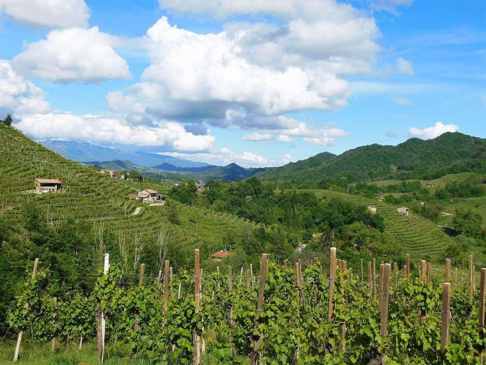 Activities, Autumn, Spring, Summer