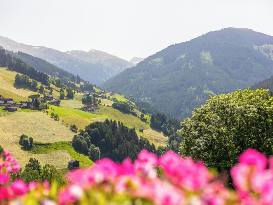 View from Holiday Home [summer]