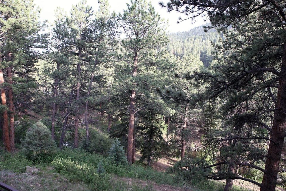 View from Deck