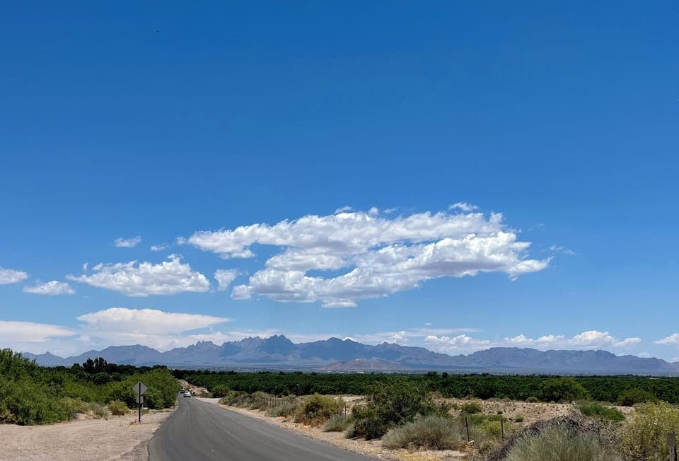 The Organ Mountains in the distance
