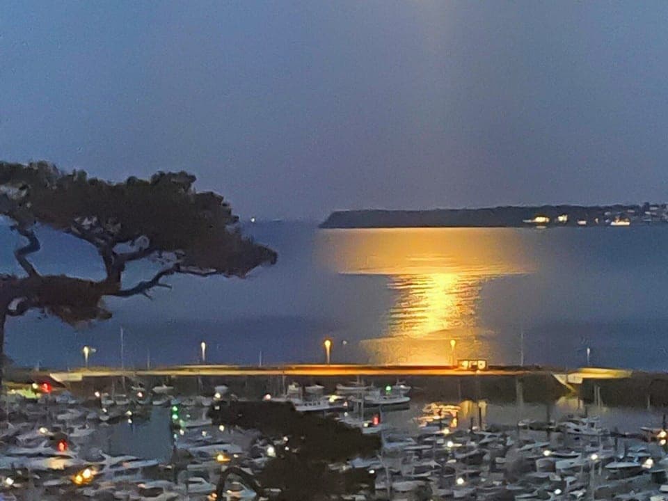 View | Tides Reach, Torquay Seafront