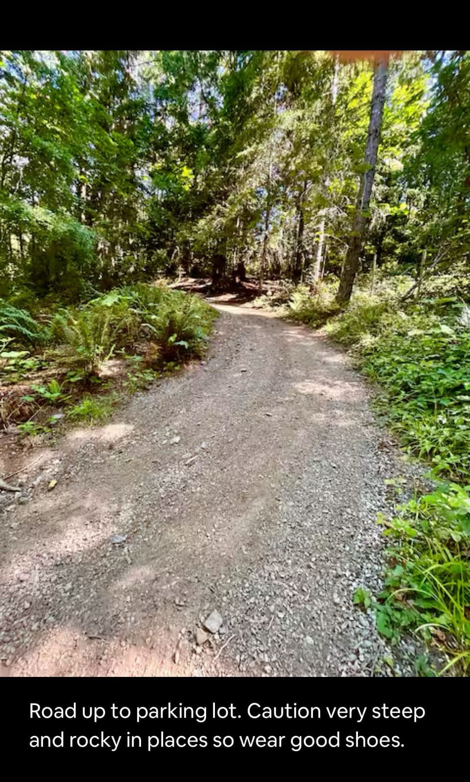 Road down to pond is steep in parts and slippery. Please wear good shoes