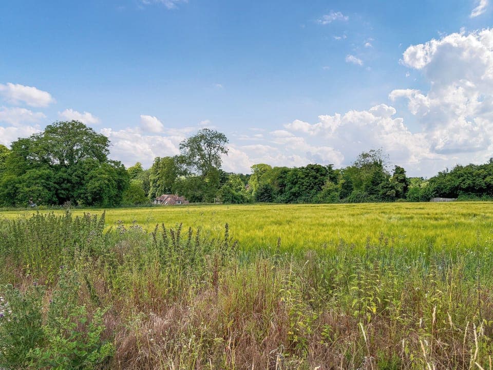 Surrounding area | The Tank House, Nether Wallop, Stockbridge