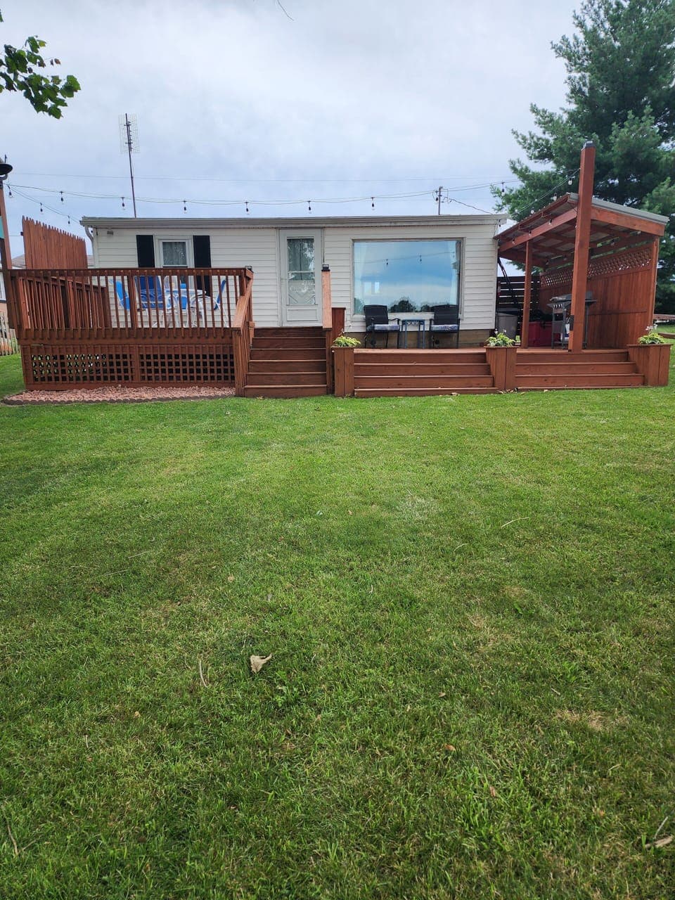 Back yard