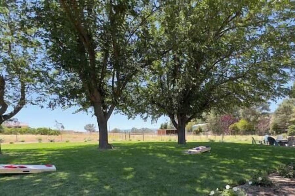 Play a game of Corn Hole in the backyard