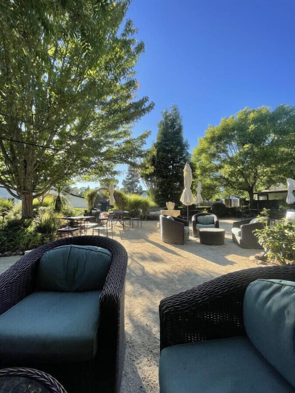 Shared Garden Area