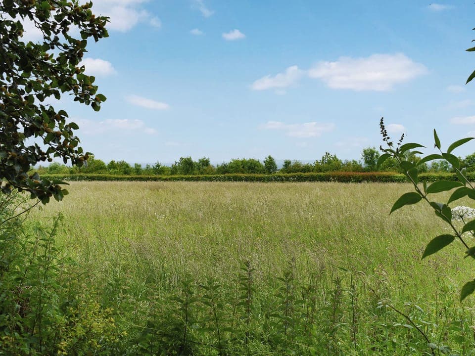 Surrounding area | Camelot, High Ham, near Langport