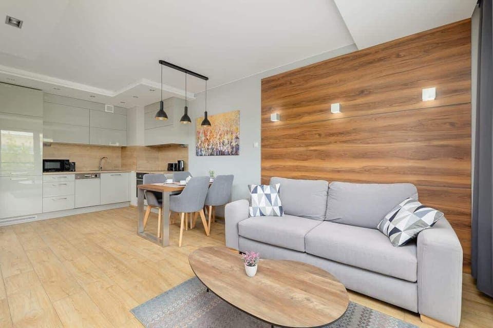 Comfortable, fold-out sofa in the living room. 