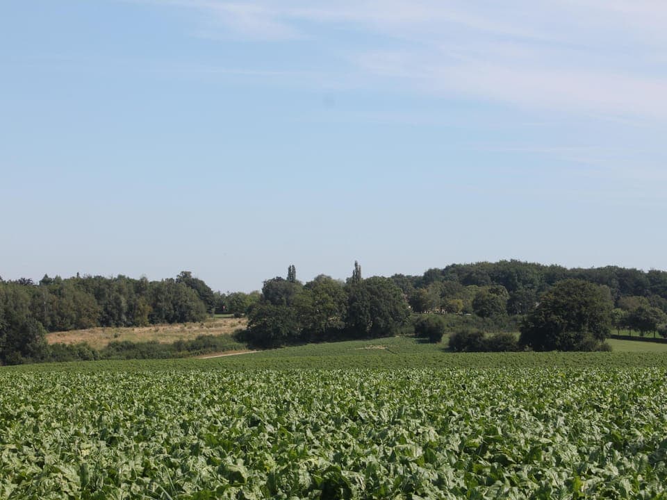 Immediate Surroundings [summer] (<1 km)