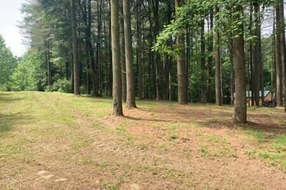 174bc54c-74b4-4db8-aaa8-7a5d520768b4