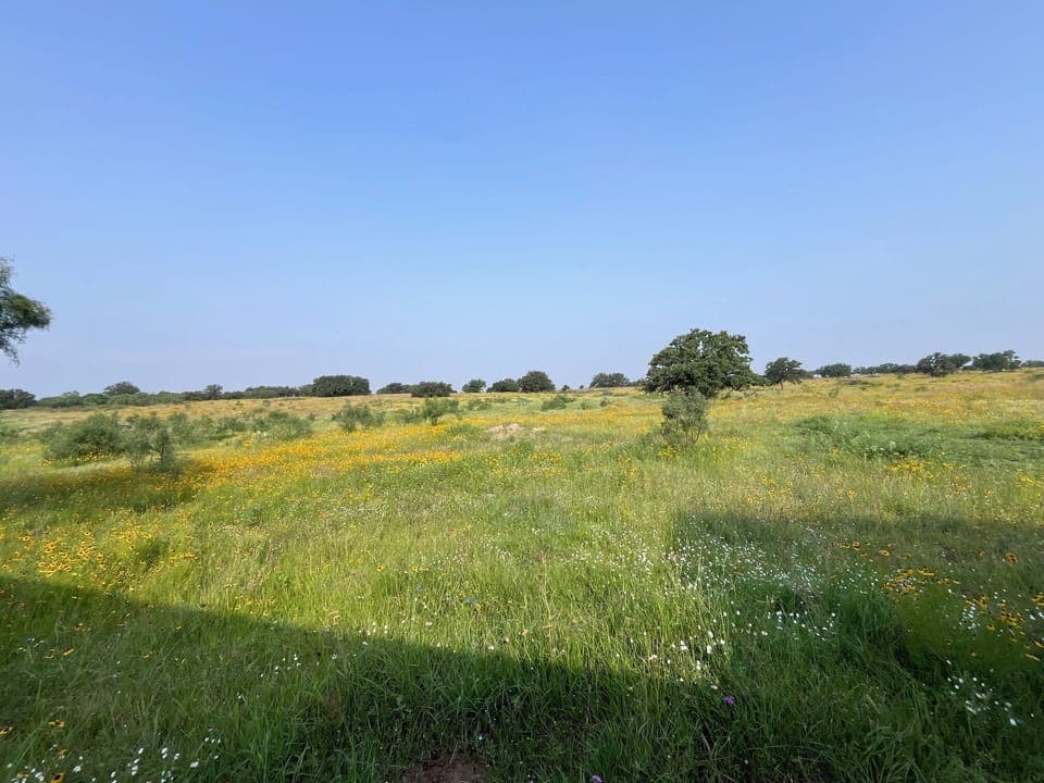 Rolling hillsides, distant granite cliffs, deer, fox, rabbits, butterflies...