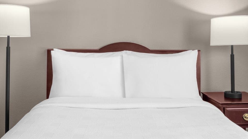 Unit with 1 Queen size bed