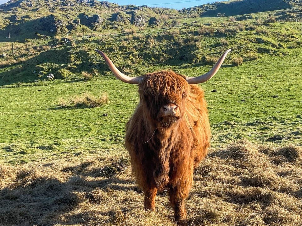 Surrounding area | St. Fergus, Acharacle, near Ardnamurchan