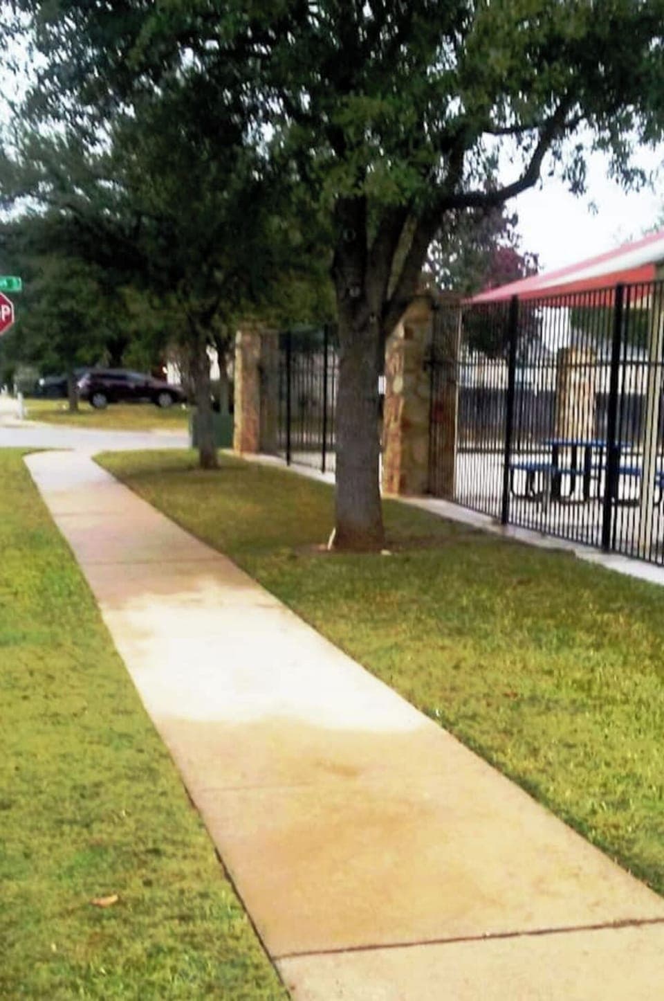 Park and playground area 
