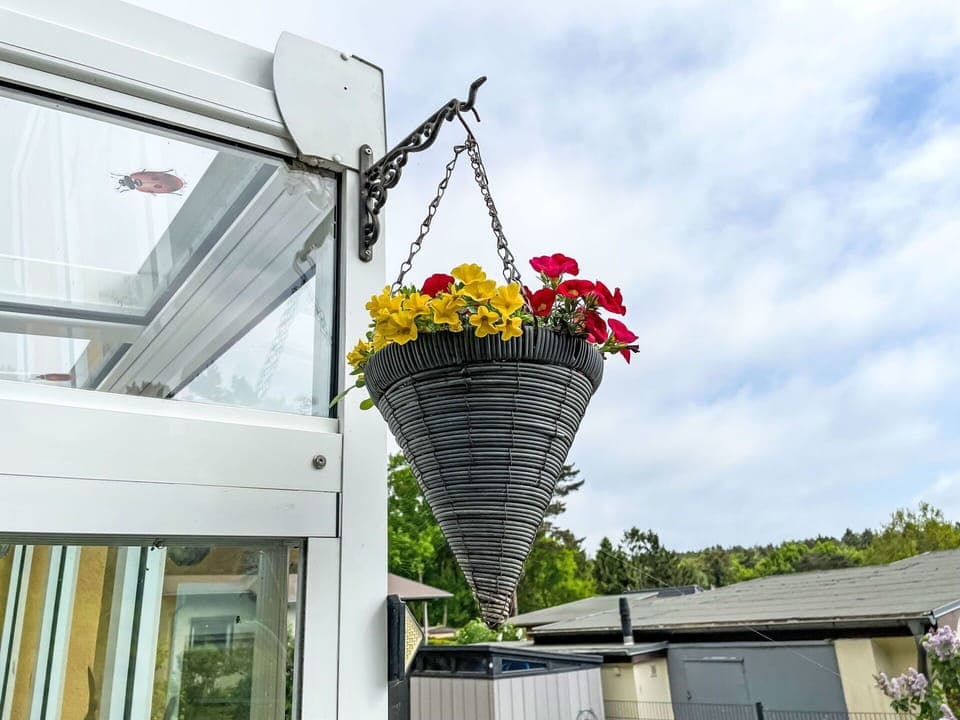 Flower, Plant, Sky, Cloud, Flowerpot, Building, Facade, Tree, Pole, Roof