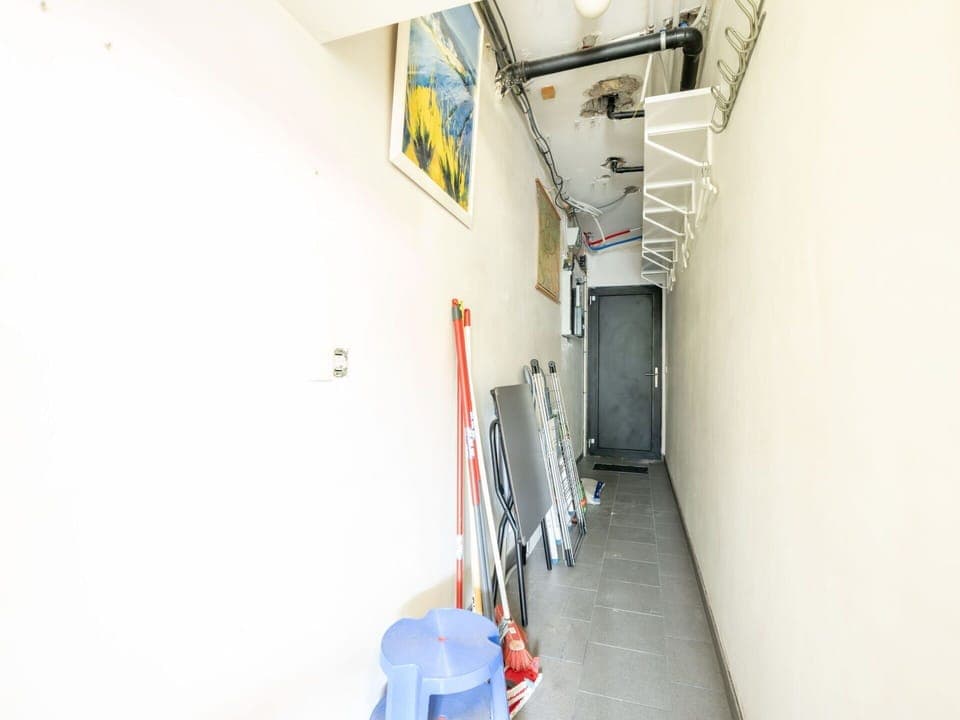 Plant, Sky, Water, Property, Azure, Natural Landscape, Tree, Vegetation, Arecales, Body Of Water