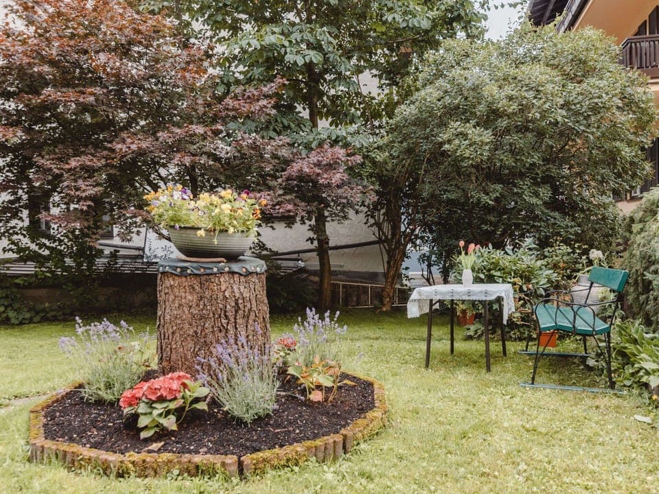 Flower, Plant, Leaf, Tree, Botany, Grass, Shrub, Woody Plant, Landscape, Groundcover