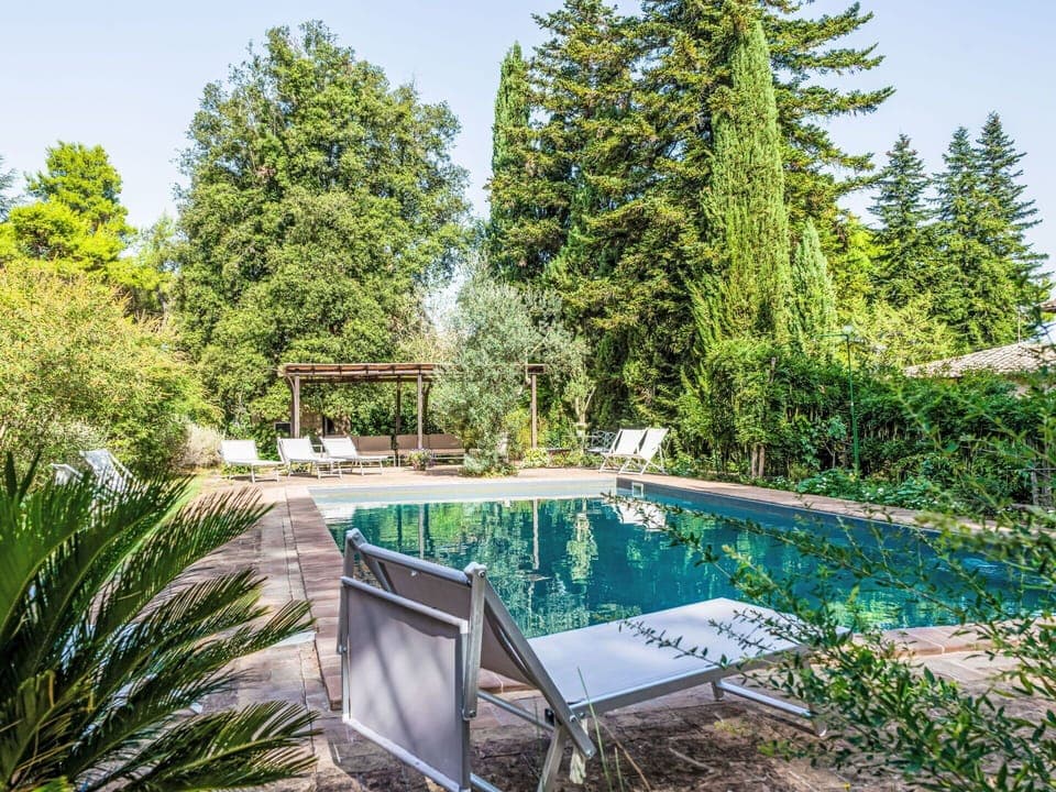 Water, Plant, Sky, Plant Community, Nature, Tree, Natural Landscape, Botany, Vegetation, Swimming Pool