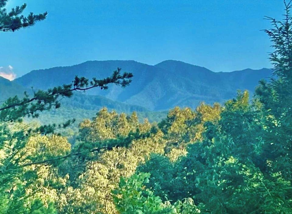 The Great Smoky Mountains From The Cabin!