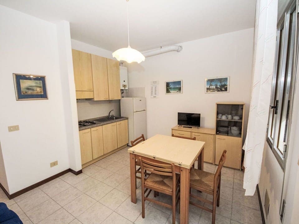 Plant, Building, Chair, Wood, Shade, Flower, Door, Tints And Shades, Landscape, Petal