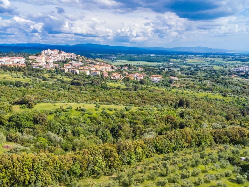 Cloud, Sky, Natural Landscape, Land Lot, Highland, Plant, Terrain, Cumulus, Horizon, Plain