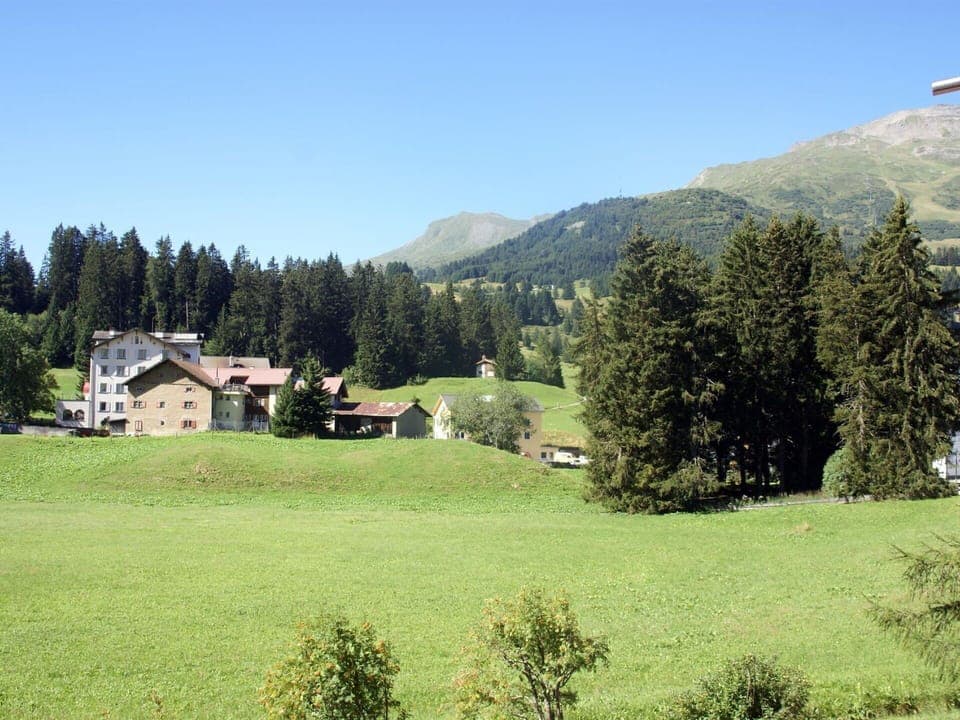 Plant, Sky, Mountain, Ecoregion, Tree, Natural Landscape, Larch, Highland, Land Lot, House