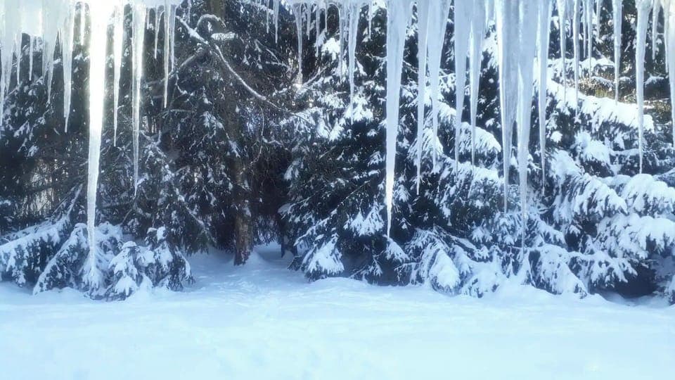 Winter View from the dining room

