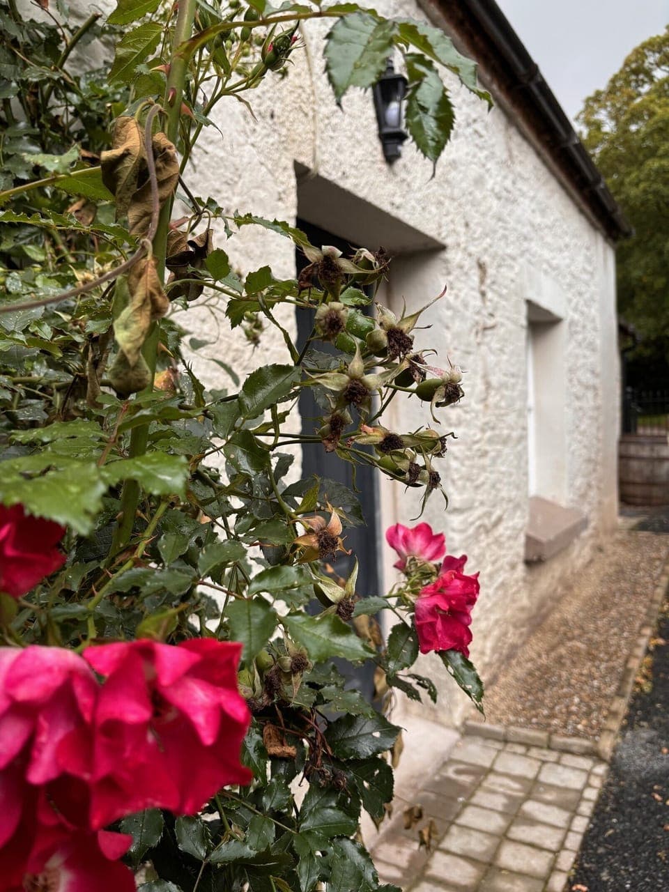 Exterior detail
