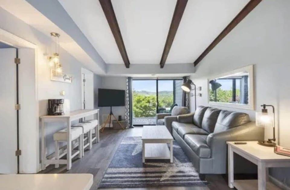 Generous living room with fold-out couch.