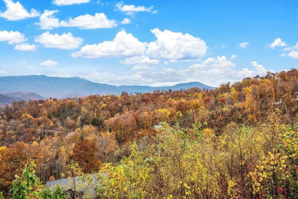 Amazing views from patio on main level