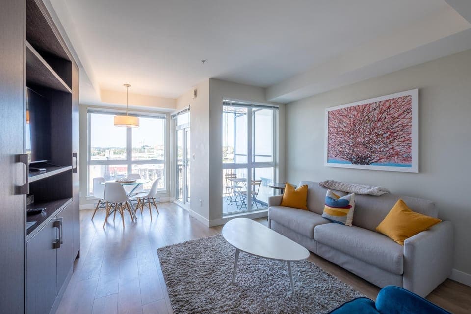 Queen size sofa bed to enjoy