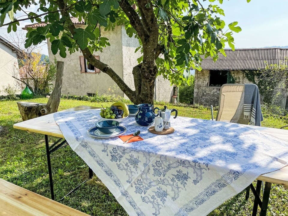 Plant, Table, Furniture, Property, Tableware, Tablecloth, Chair, Nature, Leaf, Outdoor Furniture