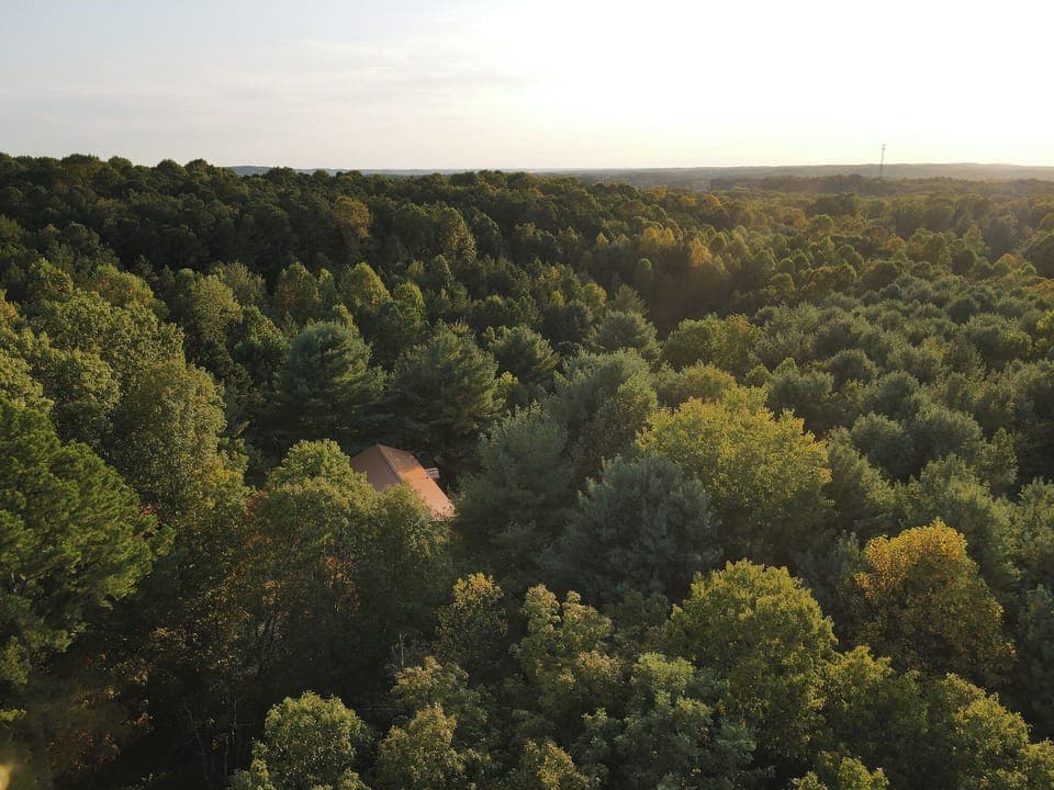 Hike for miles in our secluded 16 acres or journey beyond our woods into Hoosier National Forest