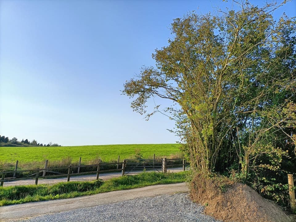 View from front of Lodge across our field towards Lydford Forest