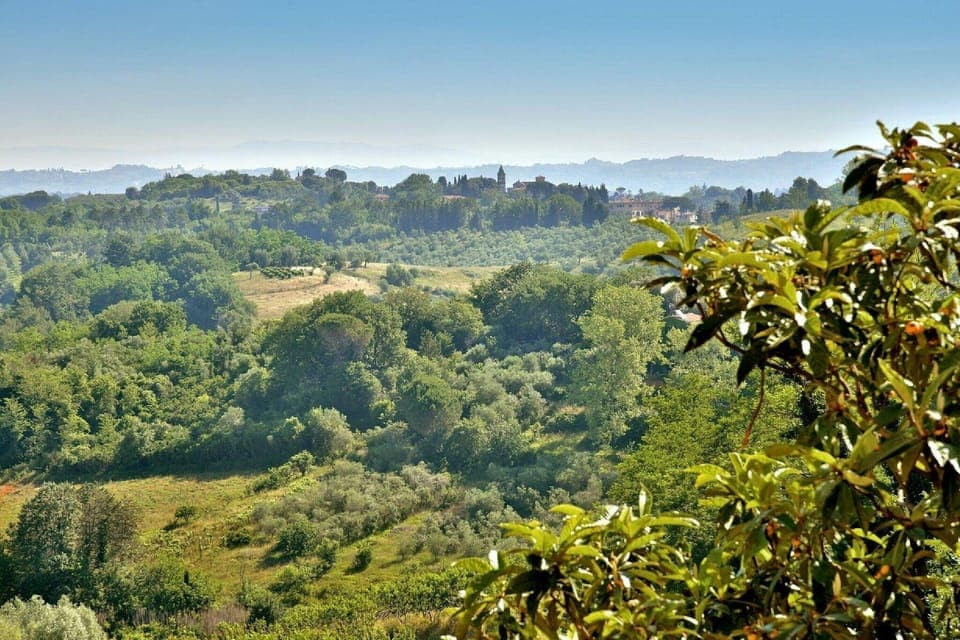 View from Holiday Home [summer]