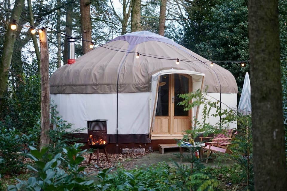 D4E36E0D B72D 42B8 AE6E FFAFA693E141 1 201 a