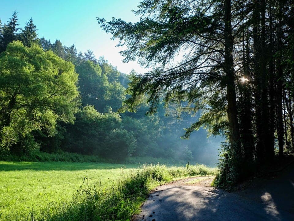 Sky, Property, Plant, Tree, Building, Land Lot, Slope, Shade, Asphalt, Wood