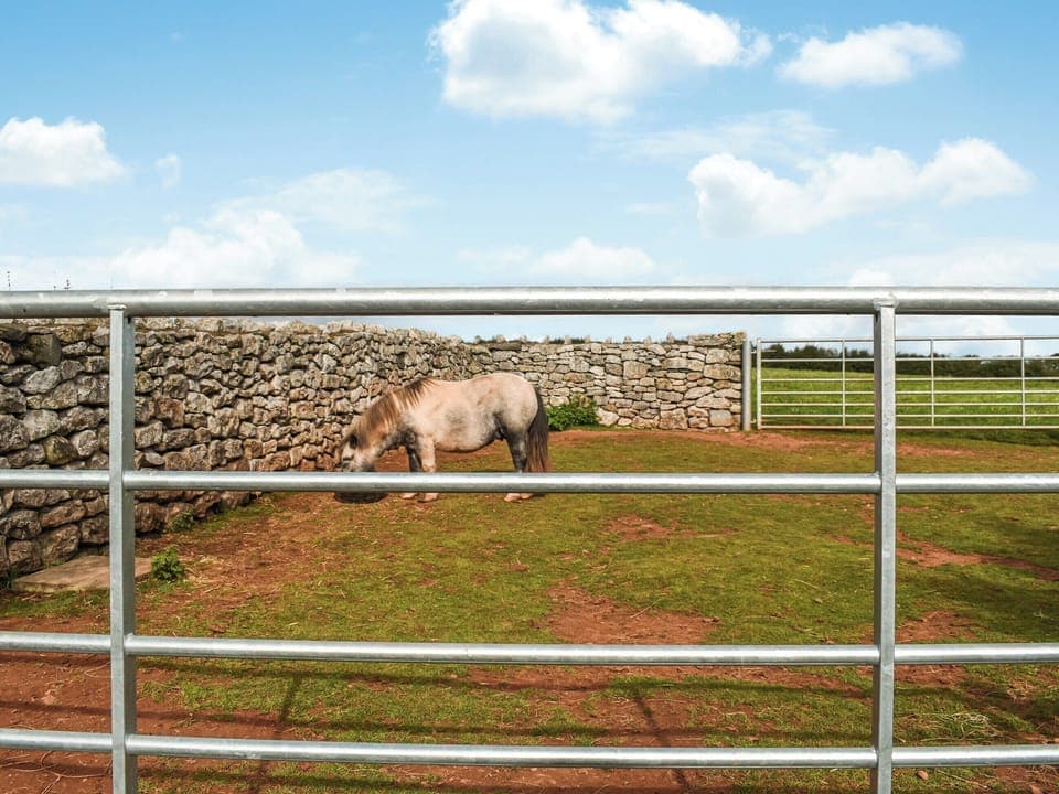 Surrounding area | The Lodge Pod, Barrow-in-Furness