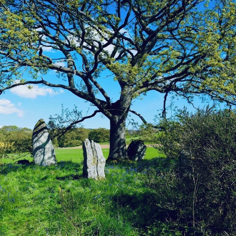 Ancient Standing stones across the valley