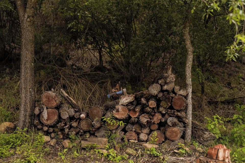 Woodpile