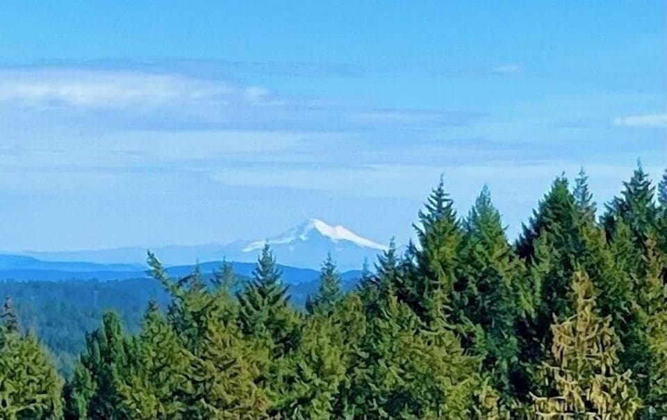 Stunning views of Mt. Baker from all bedrooms and living spaces
