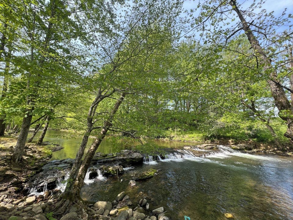 af1b9a2a-1058-4fe8-873b-3363a72f2c3b