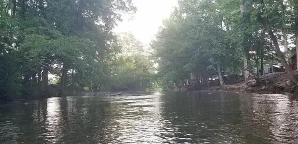 521d4aca-135f-4e9b-9190-562834dcd2cb