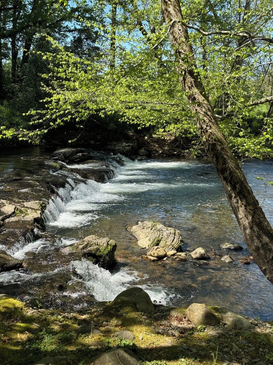 Image picker 1F7A80B5 1FE5 47F3 8BE3 D2F1009015A0 1406 000001FEB8539C4C