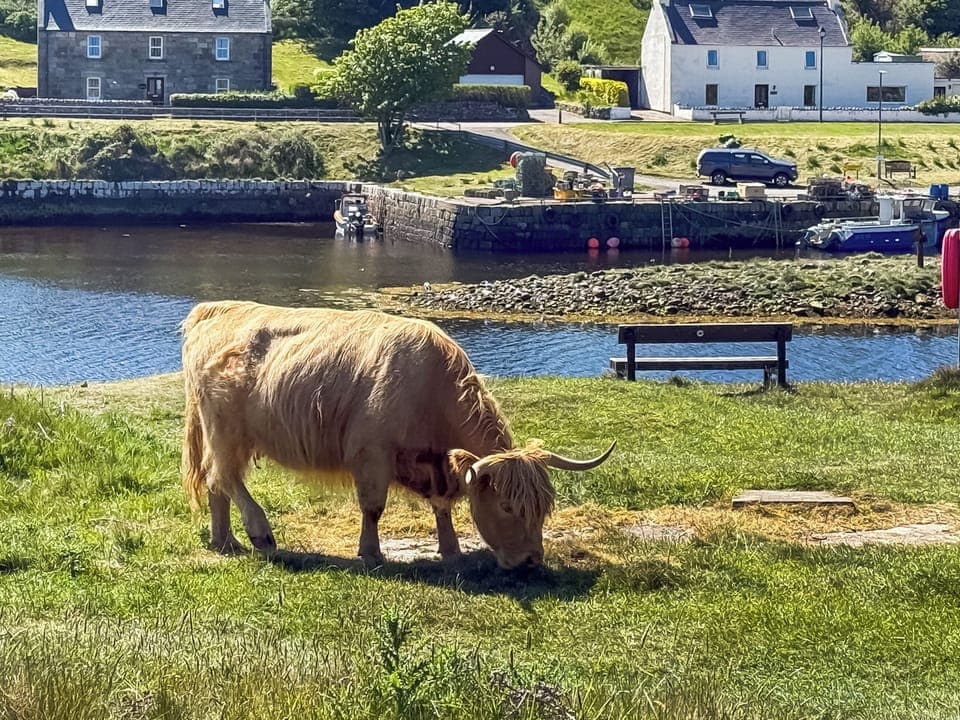 Surrounding area | No.4 The Links Apartments, Brora