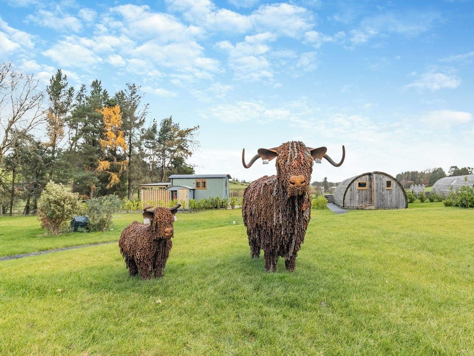 Setting | Mayflower - Llawrllan, St Harmon, near Rhayader