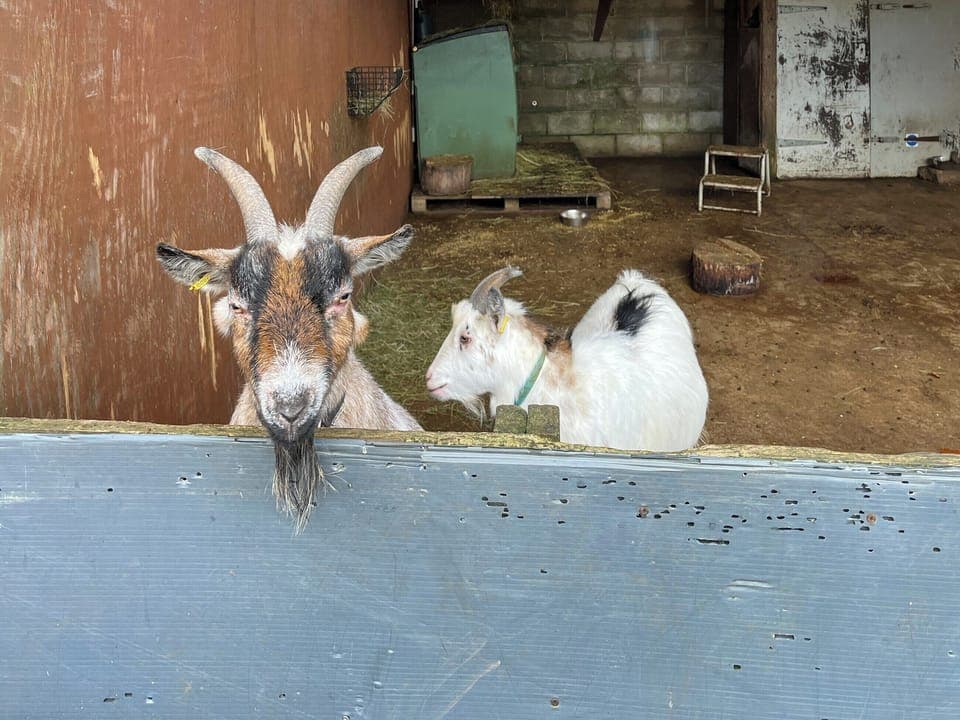 Surrounding area | Pine Lodge, Tansley, near Matlock