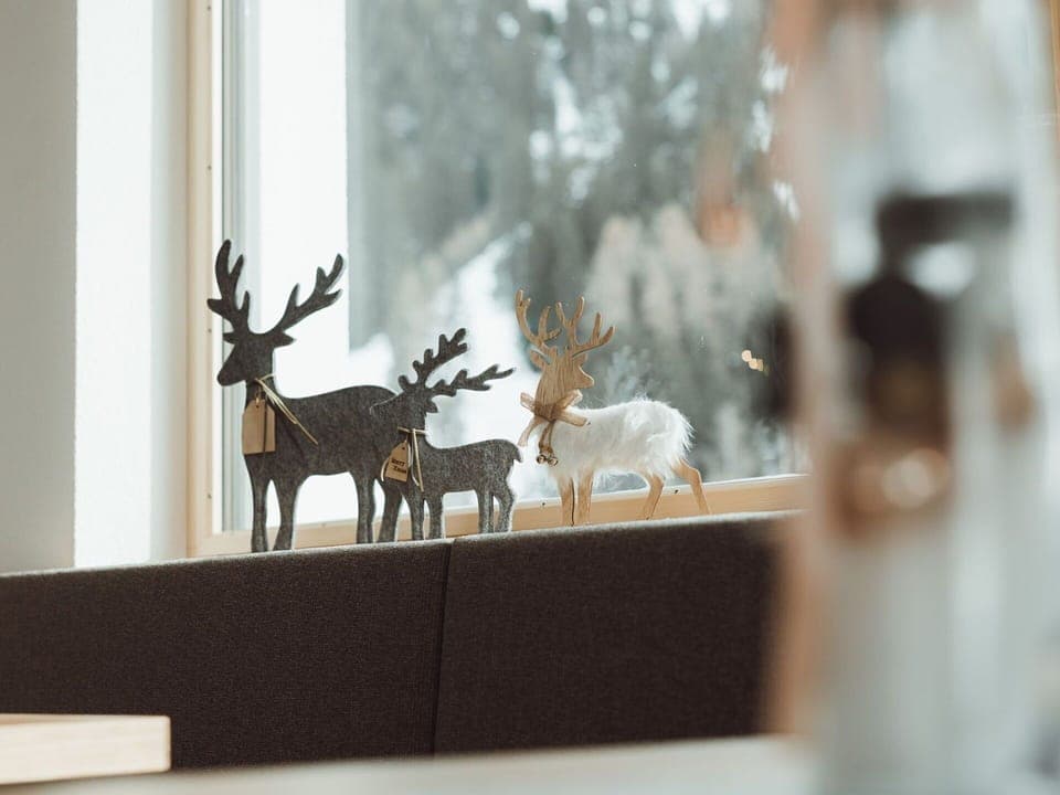 Window, Elk, Deer, Plant, Branch, Twig, Tree, Fawn, Wood, Horn