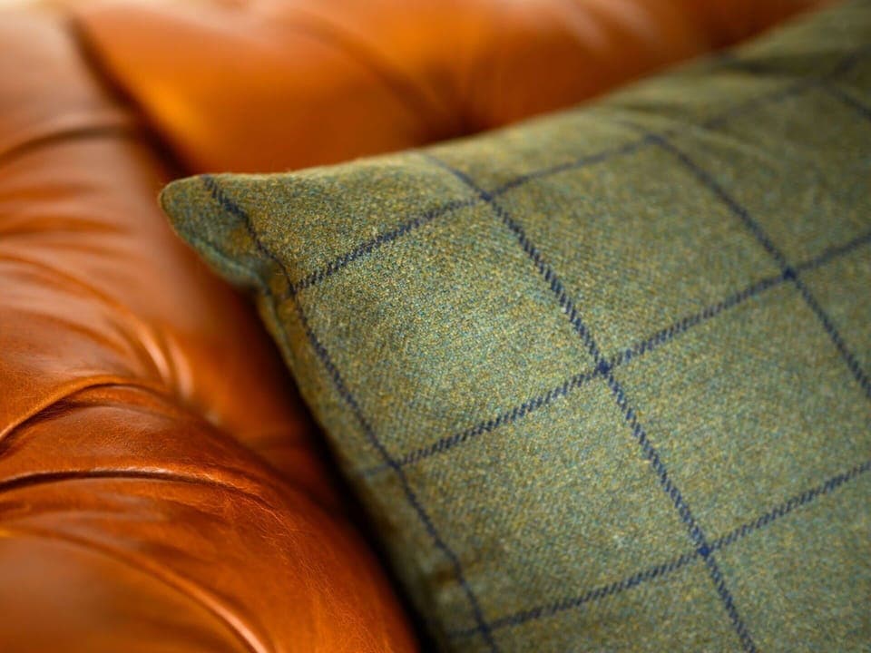 Plant, Sky, Wheel, Property, Bicycle, Plant Community, Bicycle Wheel, Building, Door